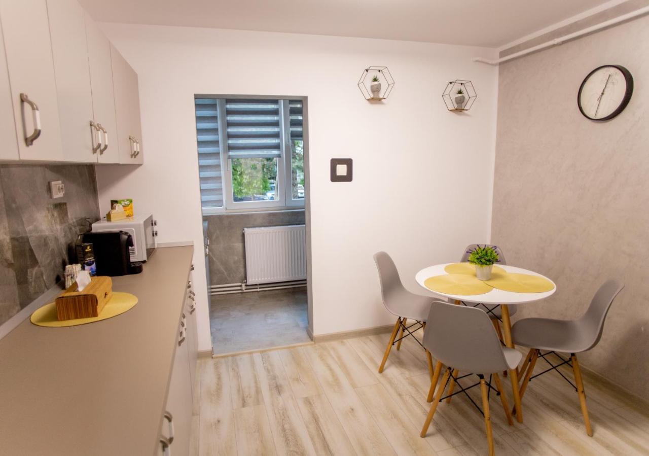 Loghin Residence Сучеава Екстериор снимка